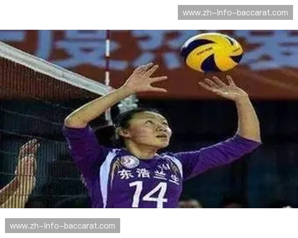 排球排名：洞察、策略与球迷指南