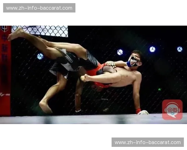 巅峰对决：少林禅武与泰拳钢骨，谁才是地表最强格斗图腾？